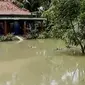 Selain ratusan rumah, banjir Purworejo juga merendam puluhan hektare sawah. 