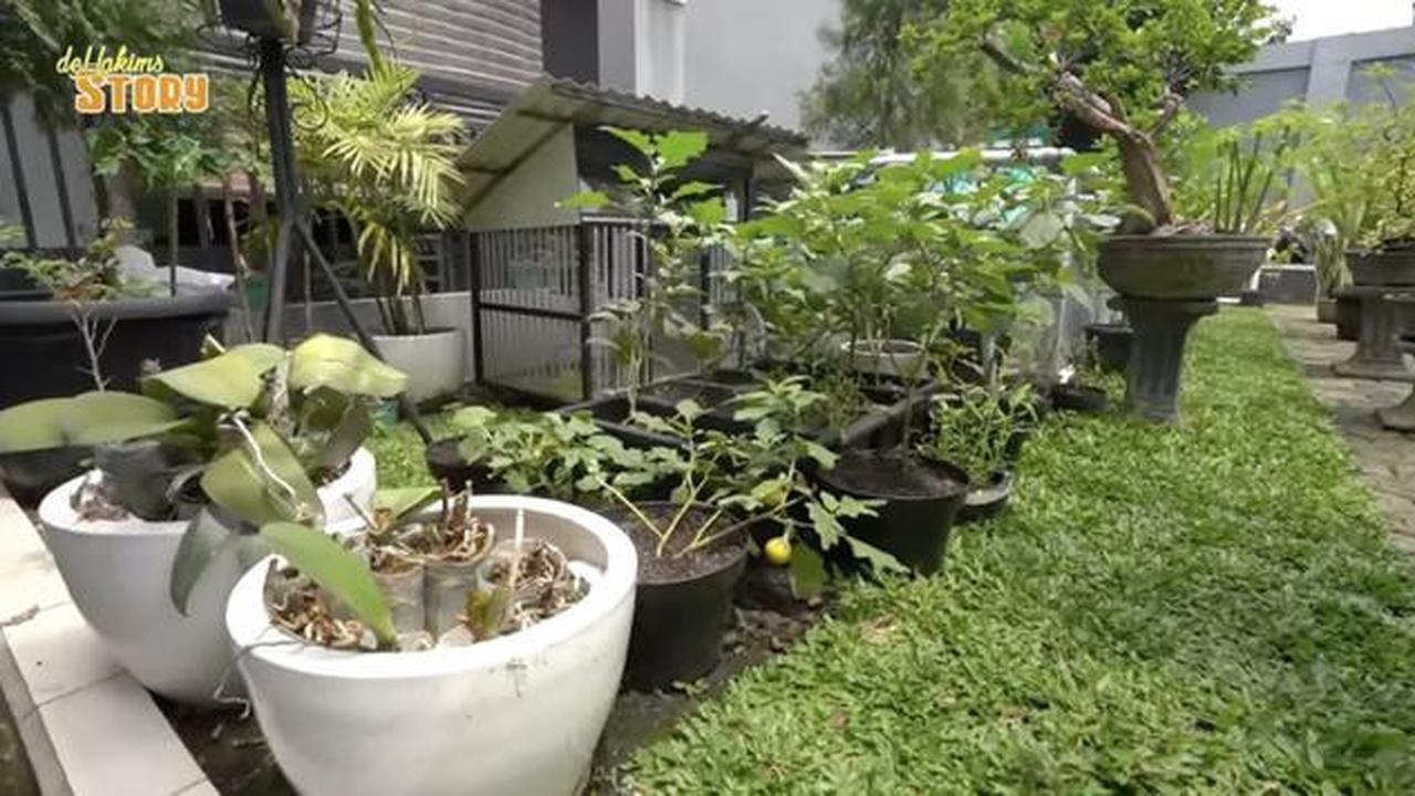 Tinggal di Gang Sempit, Ini 8 Potret Kebun dan Kandang Hewan di Rumah Ayu Ting Ting