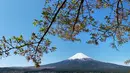 Gunung Fuji terlihat dari pinggiran kota Fujiyoshida, prefektur Yamanashi, Jepang, pada Kamis (22/4/021). Gunung Fuji, yang terletak di perbatasan antara Prefektur Yamanashi dan Prefektur Shizuoka, adalah gunung tertinggi di Jepang (3776 meter). (Behrouz MEHRI / AFP)