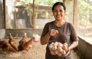 7 Cara Menghitung Keuntungan Ternak Ayam Kampung Petelur, Panduan untuk Memulai Usaha dari Rumah