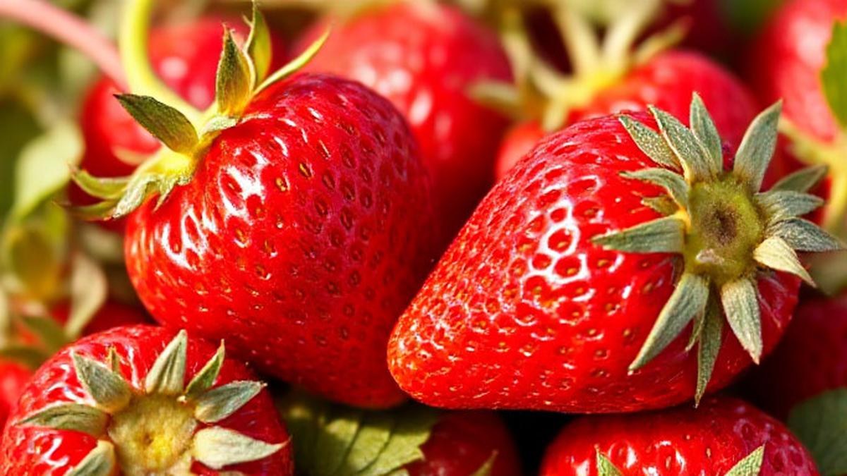 Apa Arti Mental Strawberry? Istilah yang Sempat Disinggung Kepala BKKBN Wihaji