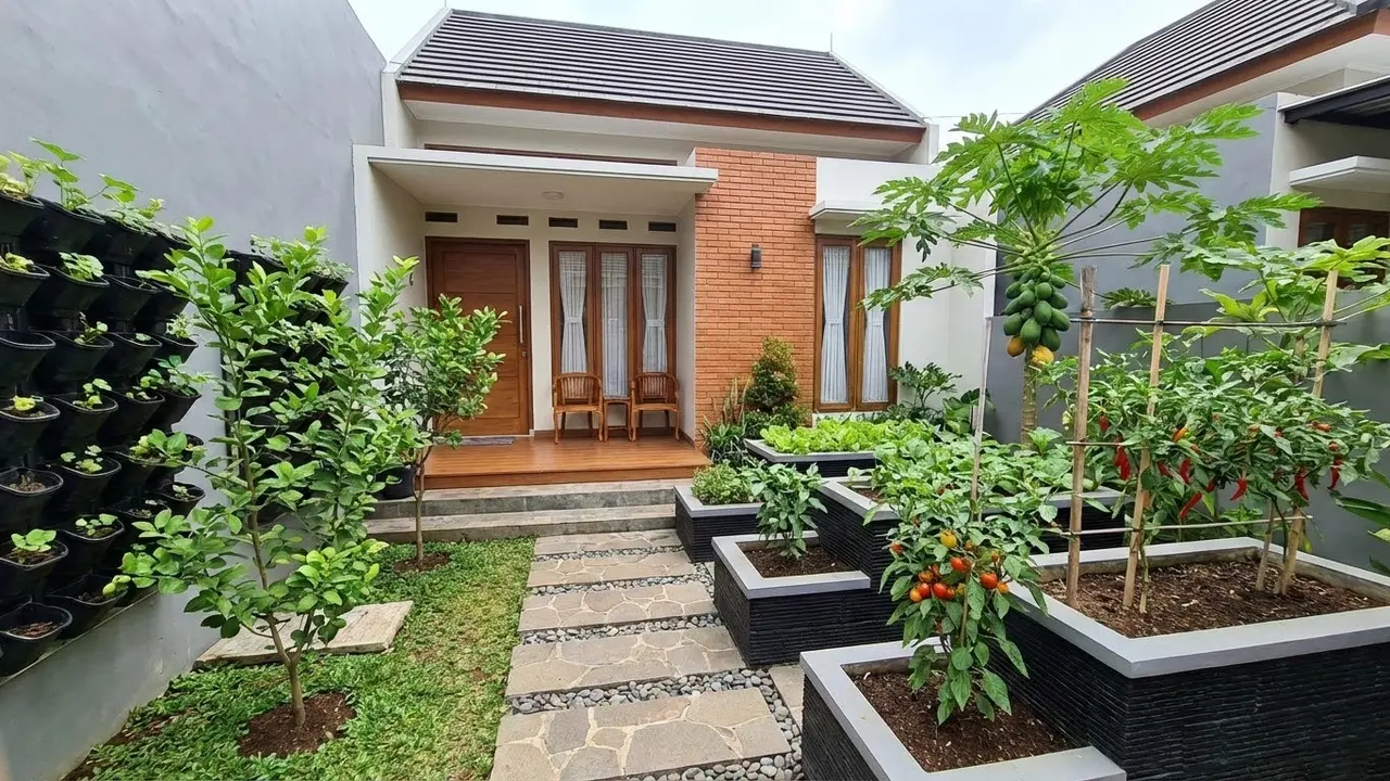 Kebun Buah Mini Agar Tidak Terlihat Sempit