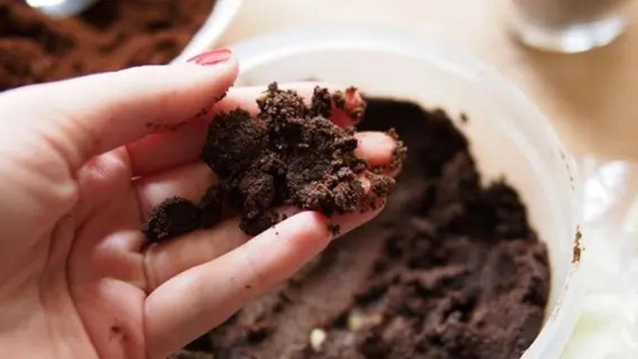 Di Mana Seharusnya Buang Sisa Kopi? Begini Prosedur yang Benar Agar Tidak Bikin Mampet Saluran Air