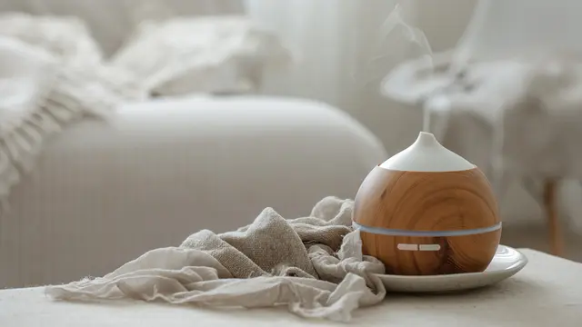 Ilustrasi Humidifier