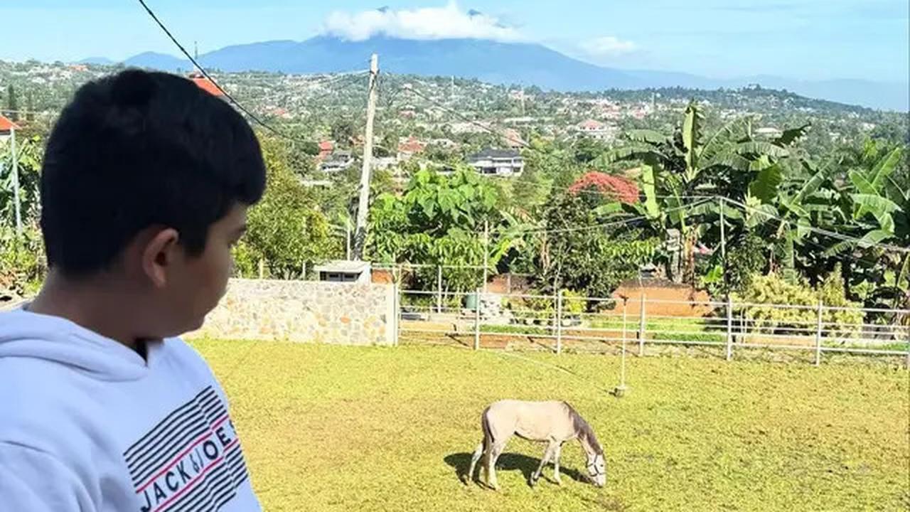 Suasana Rumah Baru Shireen Sungkar di Puncak, Ada Kandang Kuda dan Pemandangan Gunung