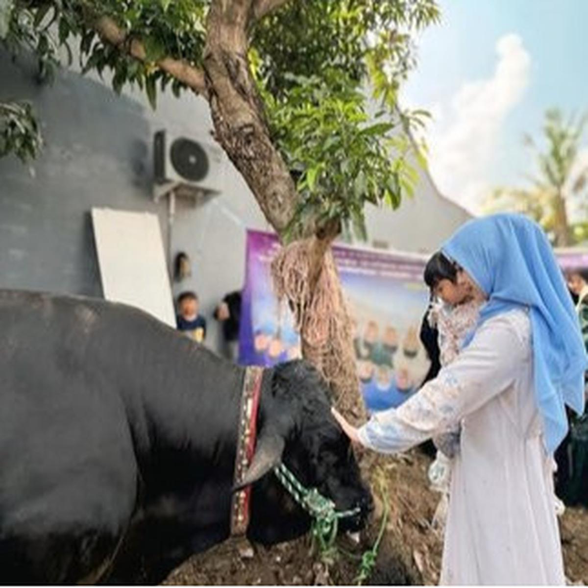 Ria Ricis Tak Hitung Budget Saat Beli Puluhan Hewan Kurban Idul Adha