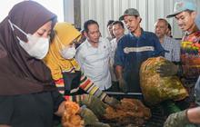 Menteri LH Imbau Intensifikasi Pemilahan Sampah Hadapi Krisis di Daerah