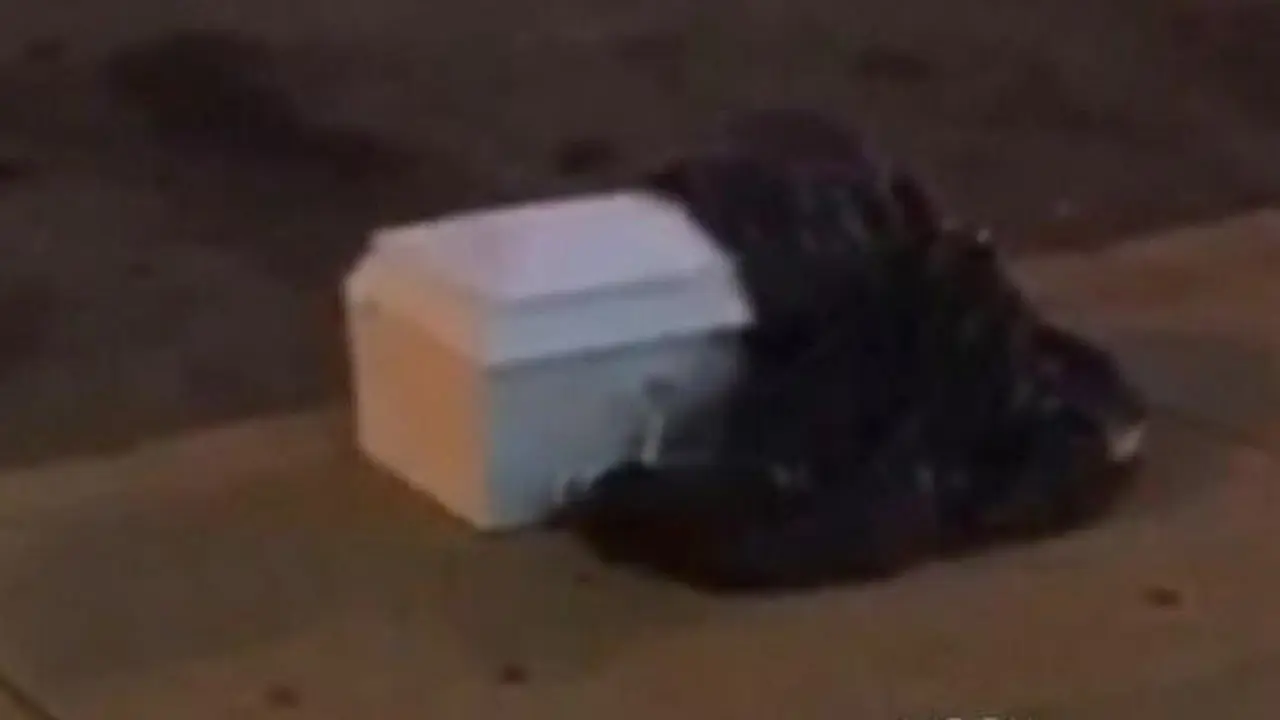 Peti mati berisi organ tubuh manusia. (CBS Philly)