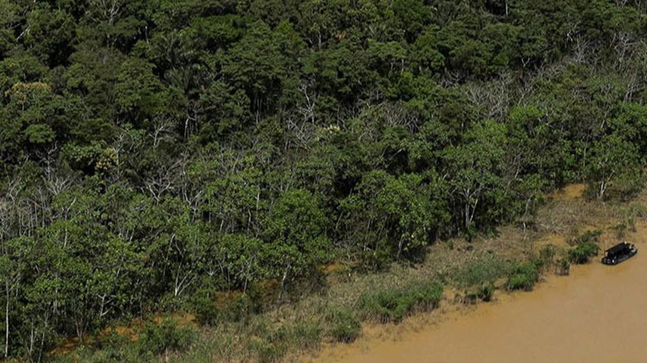 10.000 Situs Arkeologi Masih Tersembunyi di Hutan Amazon, Ada Benteng Sampai Desa Kuno