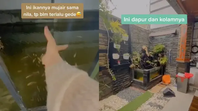 Rumah Kolam Ikan 2