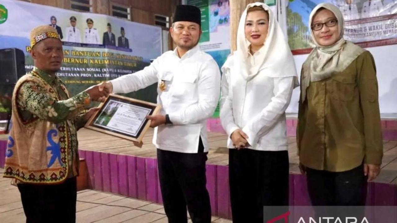 Gubernur Kaltim Dorong Pengembangan Ekowisata Merabu: Tahukah Anda, Hutan Merabu Punya Potensi Alam Luar Biasa?