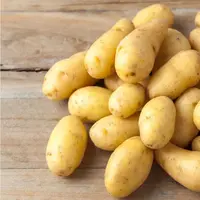 Kentang. (via: getstem.com.au)