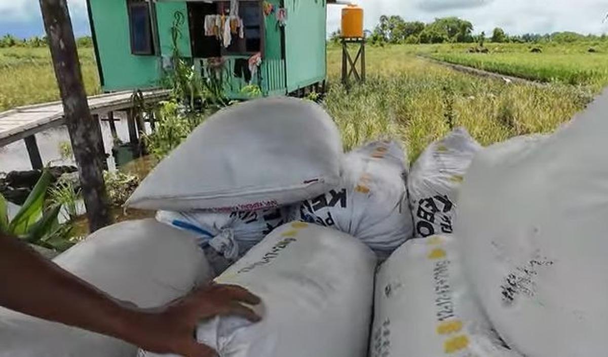 Pria yang belum diketahui namanya itu menyebut bisa memanen gabah hingga 1 ton dalam satu satu kali panen di lahan yang ia garap.<br>