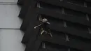 Alain Robert saat berusaha memanjat Menara Internasional GT berlantai 47 di Makati City, Manila, Filipina (29/1). Alain yang dikenal sebagai "The French Spiderman" kembali memanjat gedung pencakar langit di Filipina. (AFP Photo/Ted Aljibe)