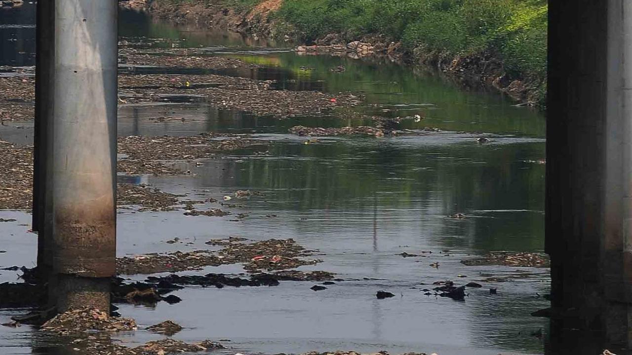 FOTO: Musim kemarau, Kondisi Air di Kanal Banjir Timur Menyusut dan Nyaris Kering, Beginilah Penampakannya Sekarang