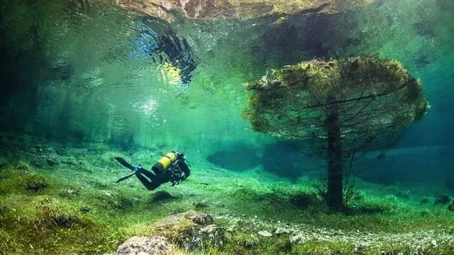 Keindahan Bawah Air Green Lake (sumber: earthlymission)