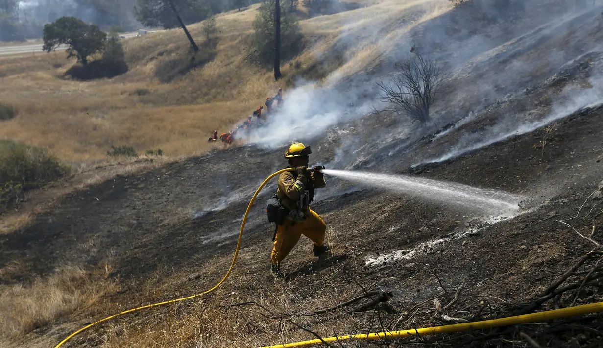 Seorang pemadam kebakaran sedang memadamkan api di hutan kawasan California, AS, Senin (3/8/2015). Sedikitnya 9.000 petugas damkar berjuang mengatasi sebanyak 18 kebakaran hutan yang melanda Negara Bagian California, AS. (Reuters/ Stephen Lam) 