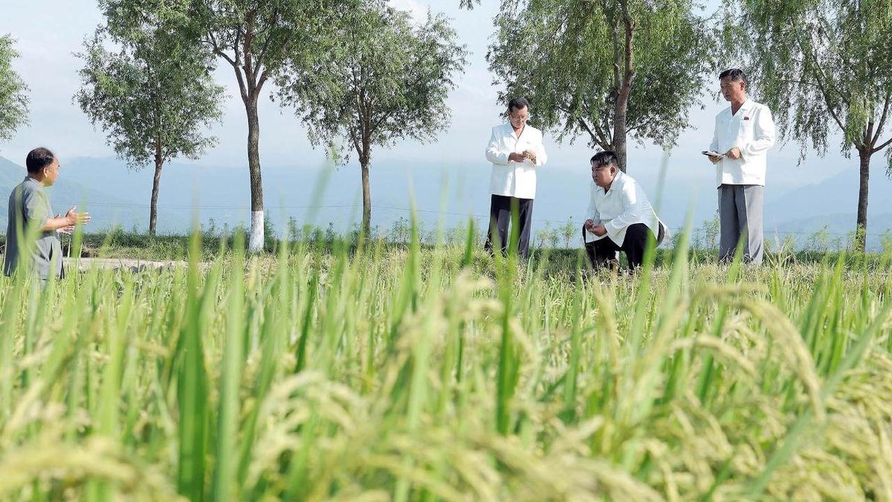 "Dia memastikan bahwa helikopter dan pesawat angkut ringan dari unit angkatan udara dimobilisasi sebagai langkah untuk meningkatkan pertumbuhan tanaman di ladang yang tergenang air, dan secara pribadi mengatur dan memerintahkan pekerjaan penyemprotan pest