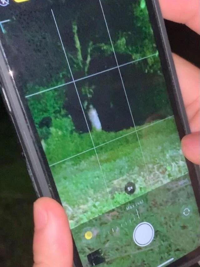 Cowok Ini Diikuti Sosok Wanita Usai Injak Sesajen, Alami 3 Kejadian Aneh