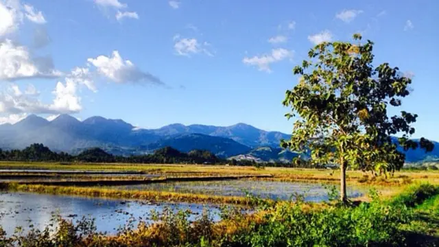 Pegunungan Boliyohuto di Gorontalo, Sulawesi