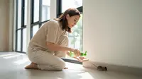 Cara Mengusir Tikus dengan Minyak Kayu Putih, Solusi Ampuh Tanpa Racun