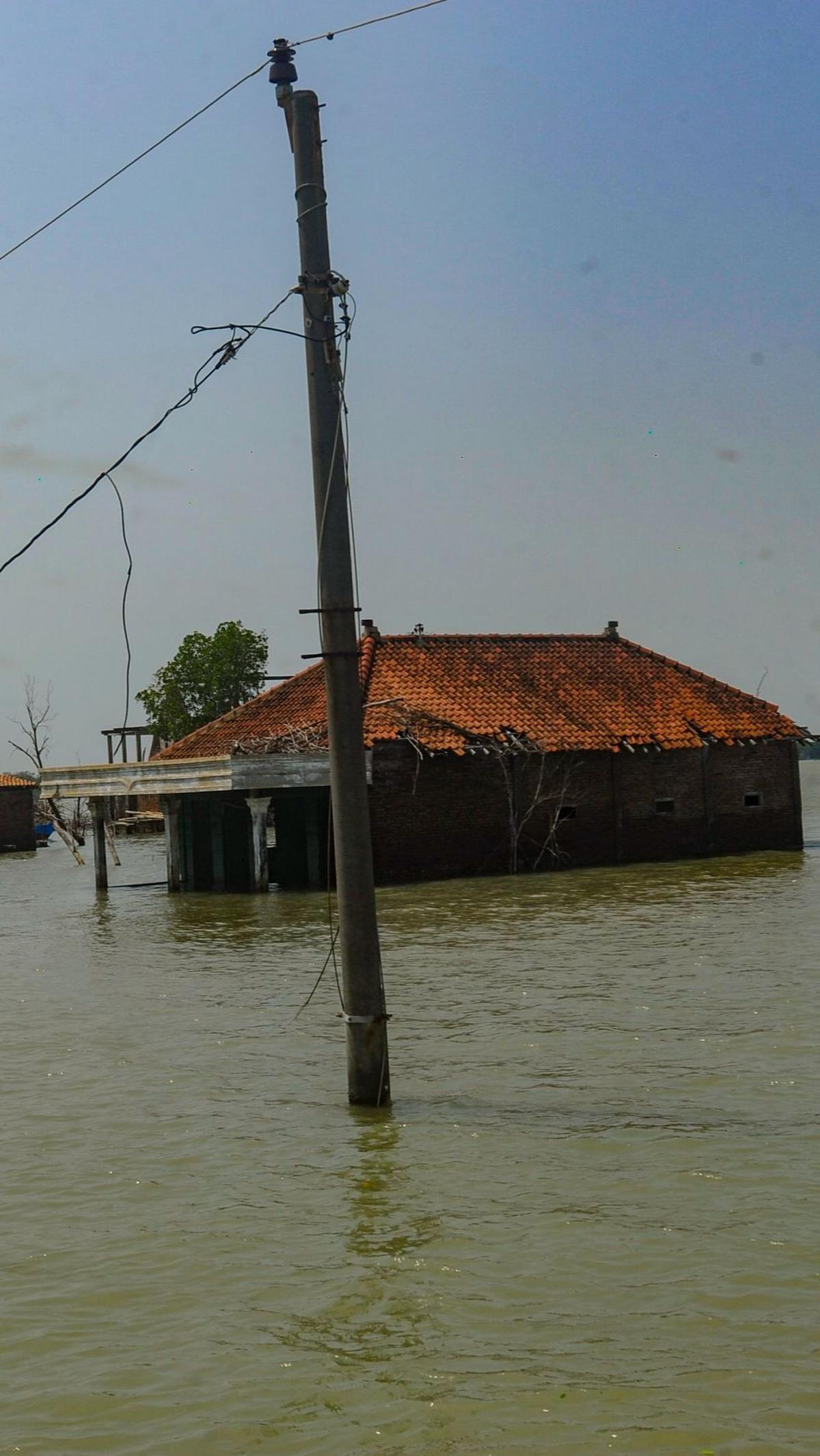 Dahulu Dusun Rejosari Senik ini memiliki banyak lahan pertanian. Namun di tahun 2000-an, kampung tersebut berubah menjadi area tambak ikan karena air laut yang mulai naik ke daratan.&nbsp;Foto: Merdeka.com/Arie Basuki