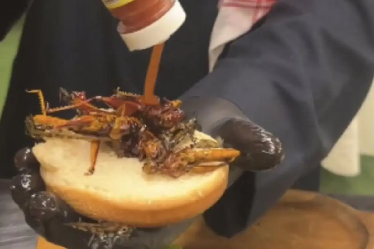 Burger belalang di Arab Saudi (Screengrab/@morslichannel X)