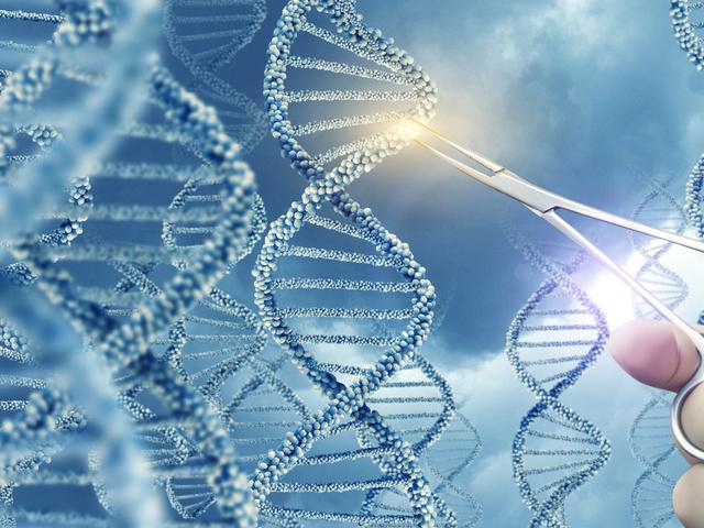 Jalani Tes Dna Begini Prosedurnya Health Liputan6 