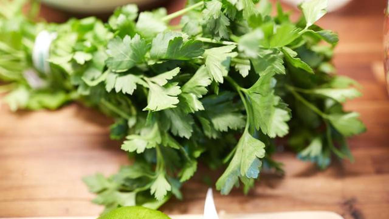 7 Rempah Dapur yang Bisa Ditumbuhkan di Pot Kecil, Cocok untuk Rumah Minimalis