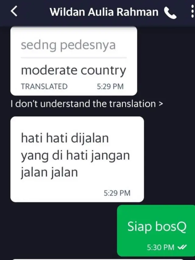 7 Chat Absurd Driver Ojek Online dan Penumpang, Bikin Mesem-Mesem