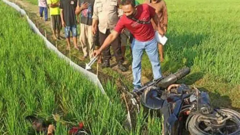 tersengat listrik jebakan tikus