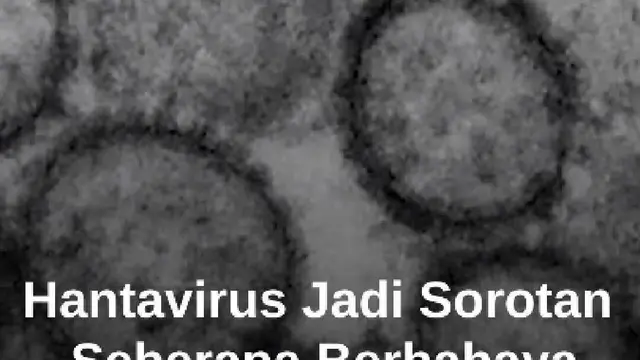 Mengenal Hantavirus dan Cara Penularannya