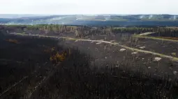 Kebakaran Donnie Creek membakar lebih dari 5.715 kilometer persegi pada 2 Juli, menurut B.C. Layanan Kebakaran. (AP Photo/Noah Berger)