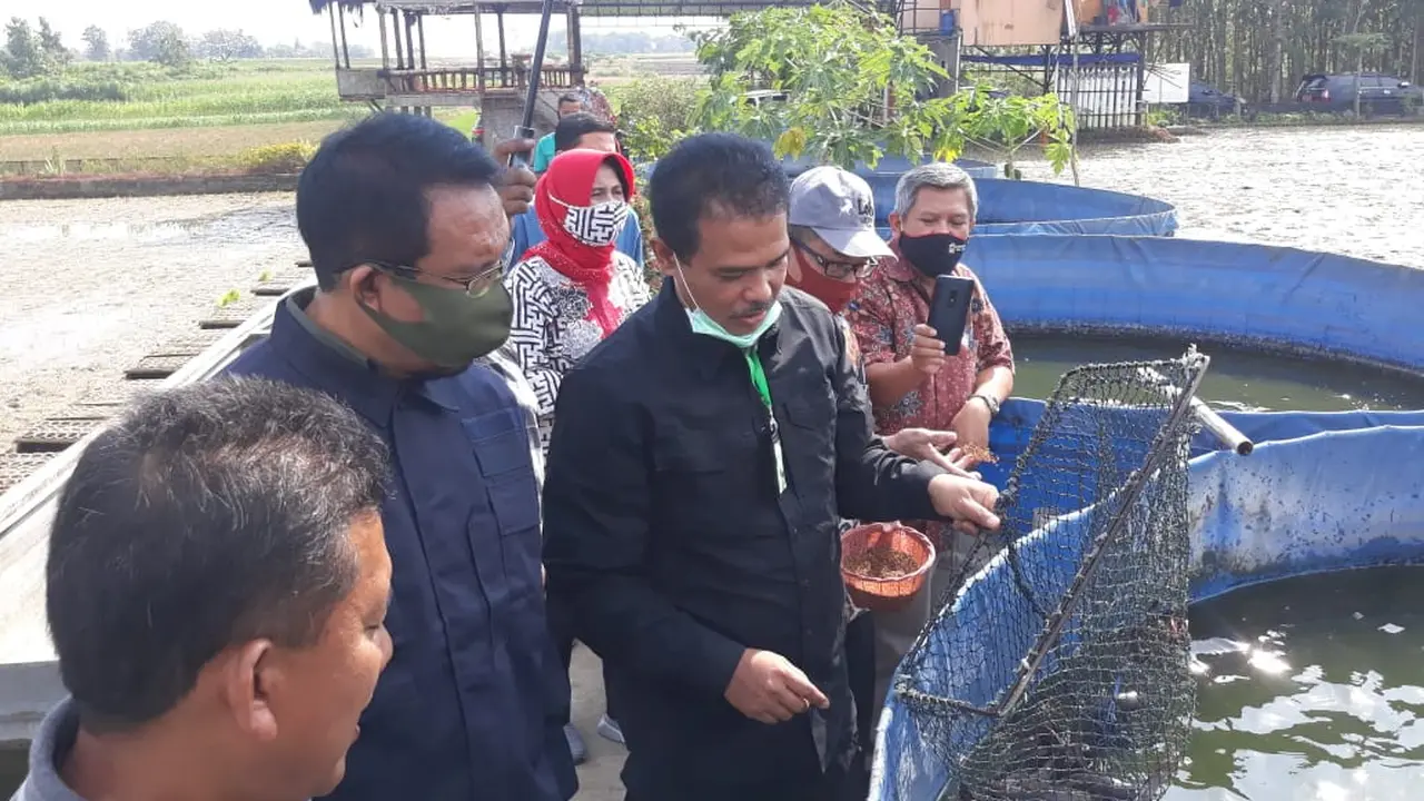 Kementan