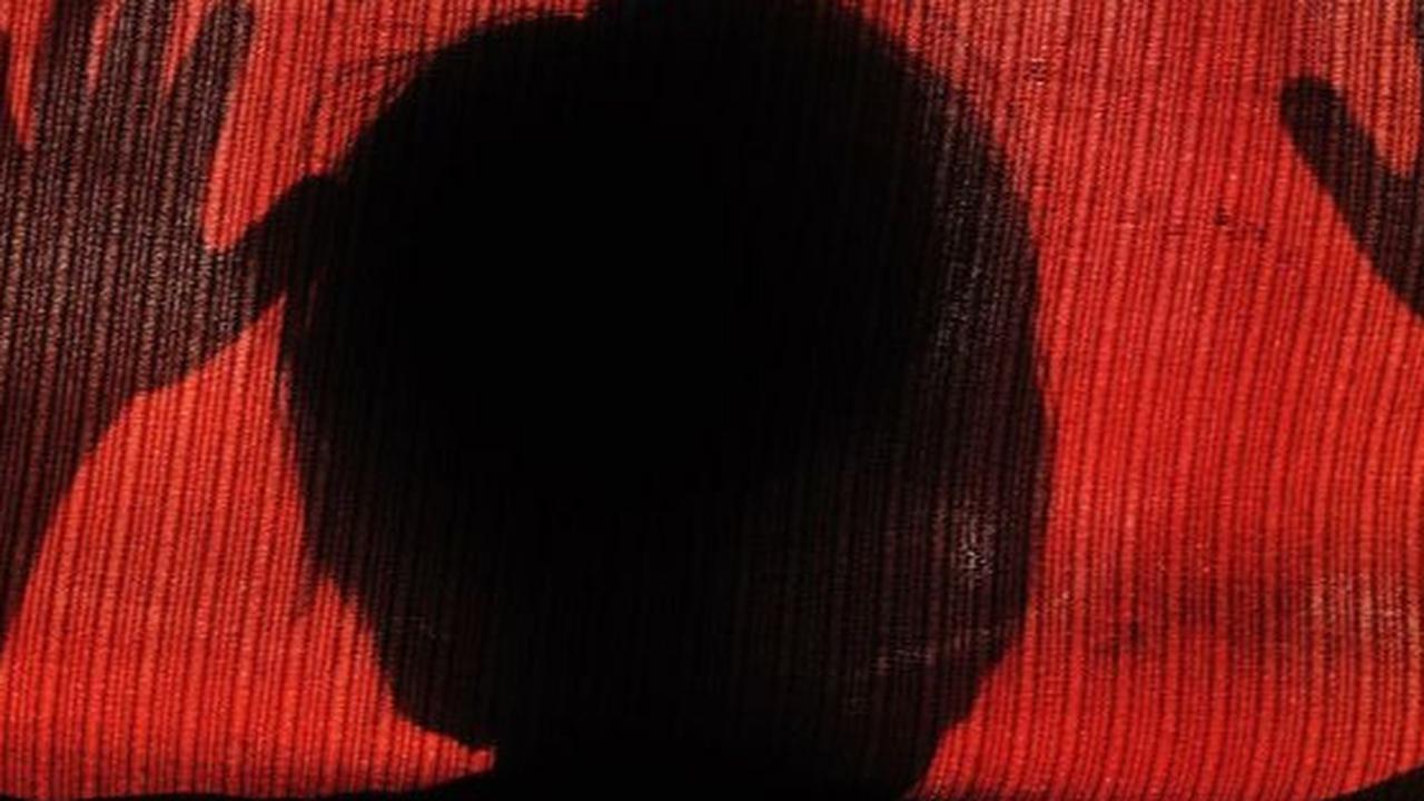 Guru SD Cabul di Jaksel jadi DPO usai 1 Tahun Tersangka, Ini Tampangnya