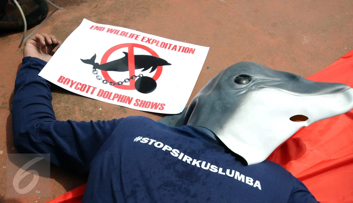 Aktivis JAAN melakukan aksi tidur untuk menolak eksploitasi hewan lumba-lumba di Jakarta, Senin (31/10). Mereka menilai pentas satwa lumba-lumba tidak menyampaikan pesan edukasi dan tidak menghargai . (Liputan6.com/Helmi Fithriansyah)