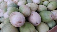 Penjualan timun suri tahun ini memang sedikit terlambat, akibat minimnya barang di beberapa sentra produksi buah-buahan berkelas timun atau cucumis tersebut karena bencana. (Liputan6.com/Jayadi Supriadin)