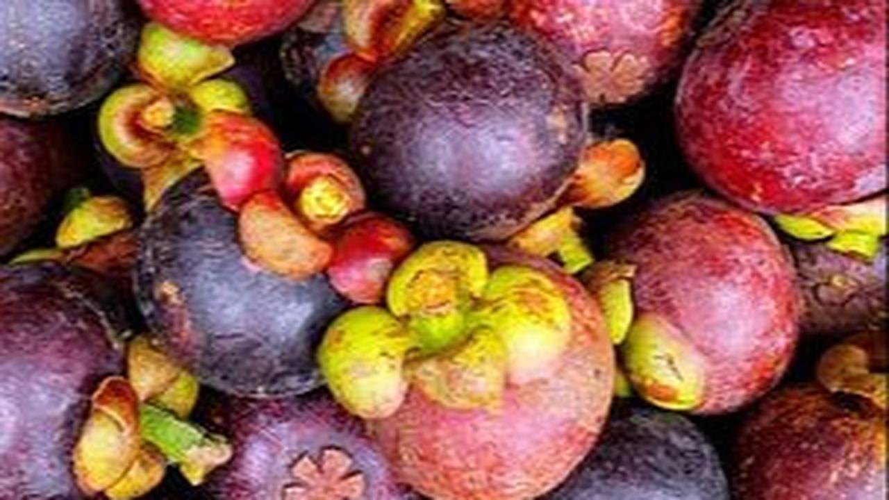 Manfaat Kulit Manggis Kering untuk Kesehatan, Kaya Antioksidan