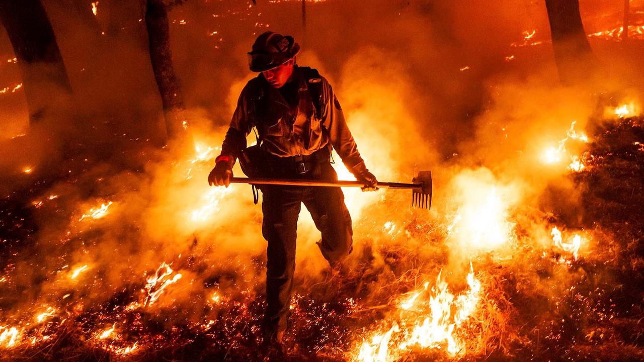 FOTO: Ngerinya Kebakaran Hutan di Napa County, Ribuan Warga California Dievakuasi