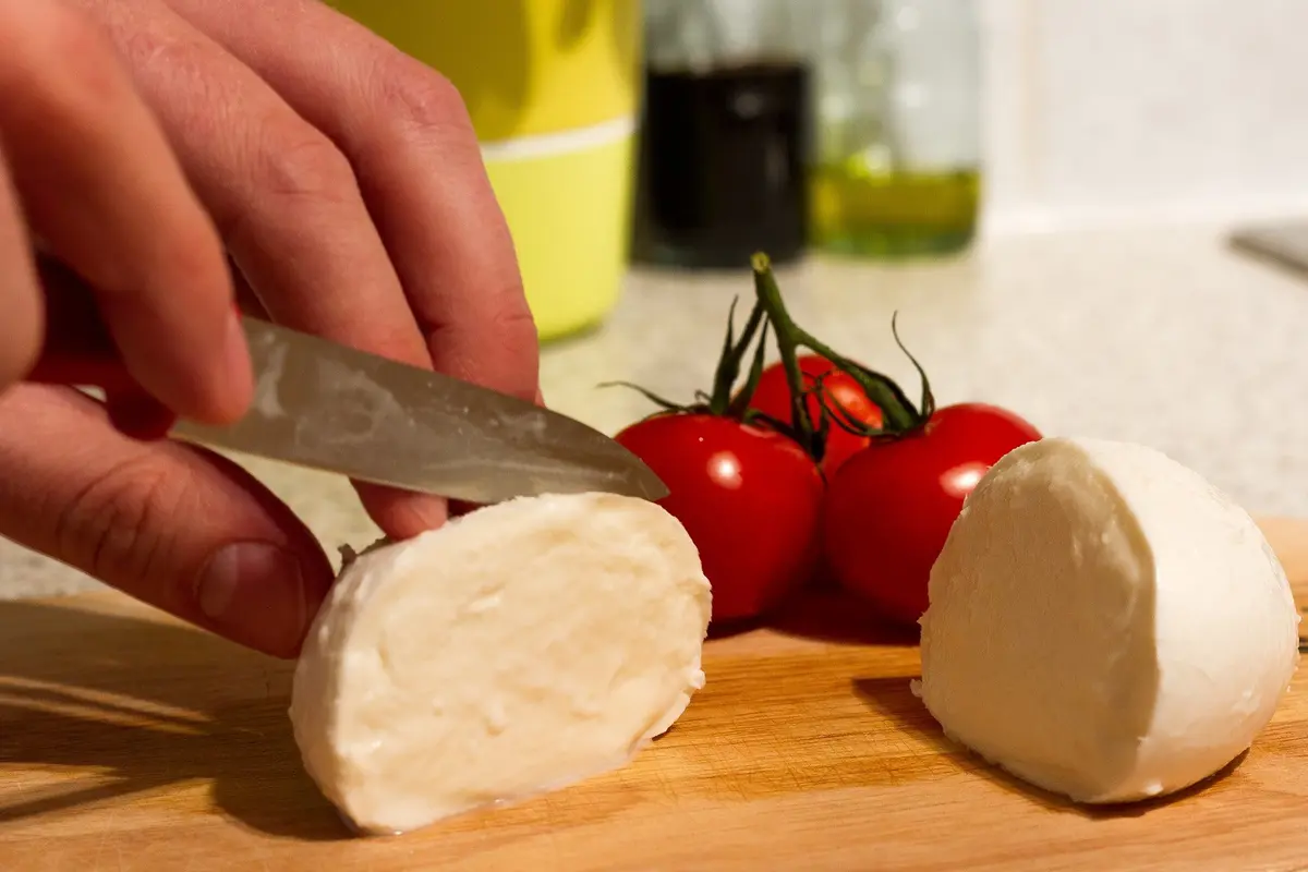 Ilustrasi Keju Mozzarella