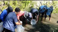 Saduluran Salawase Center (SSC) mengadakan kegiatan bersih sungai dan edukasi mitigasi kebencanaan. (Istimewa).