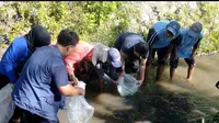 Gandeng Sejumlah Pihak, Saduluran Salawase Center Bersih Sungai dan Tebar Benih Ikan di Jember