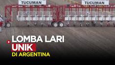 Berita video momen unik lomba lari di pacuan kuda, Tucuman, Argentina