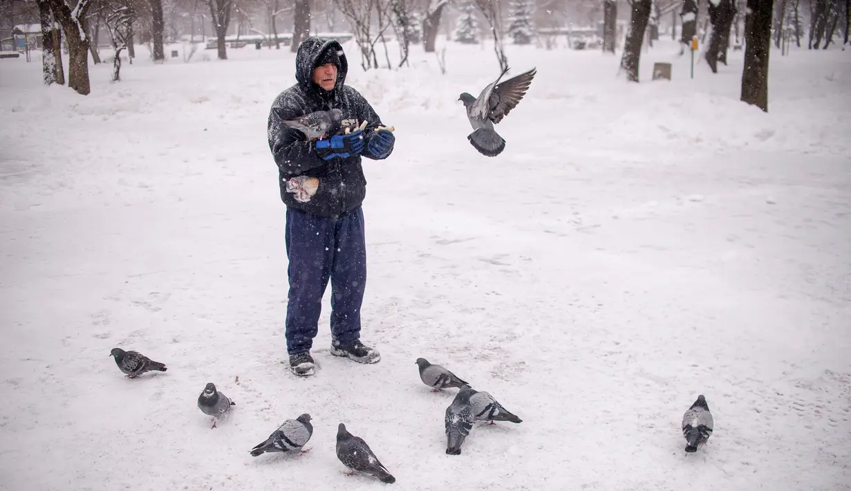 Seorang pria memberi makan merpati saat salju tebal turun di Sofia, Bulgaria, Senin (26/2). (NIKOLAY DOYCHINOV/AFP)
