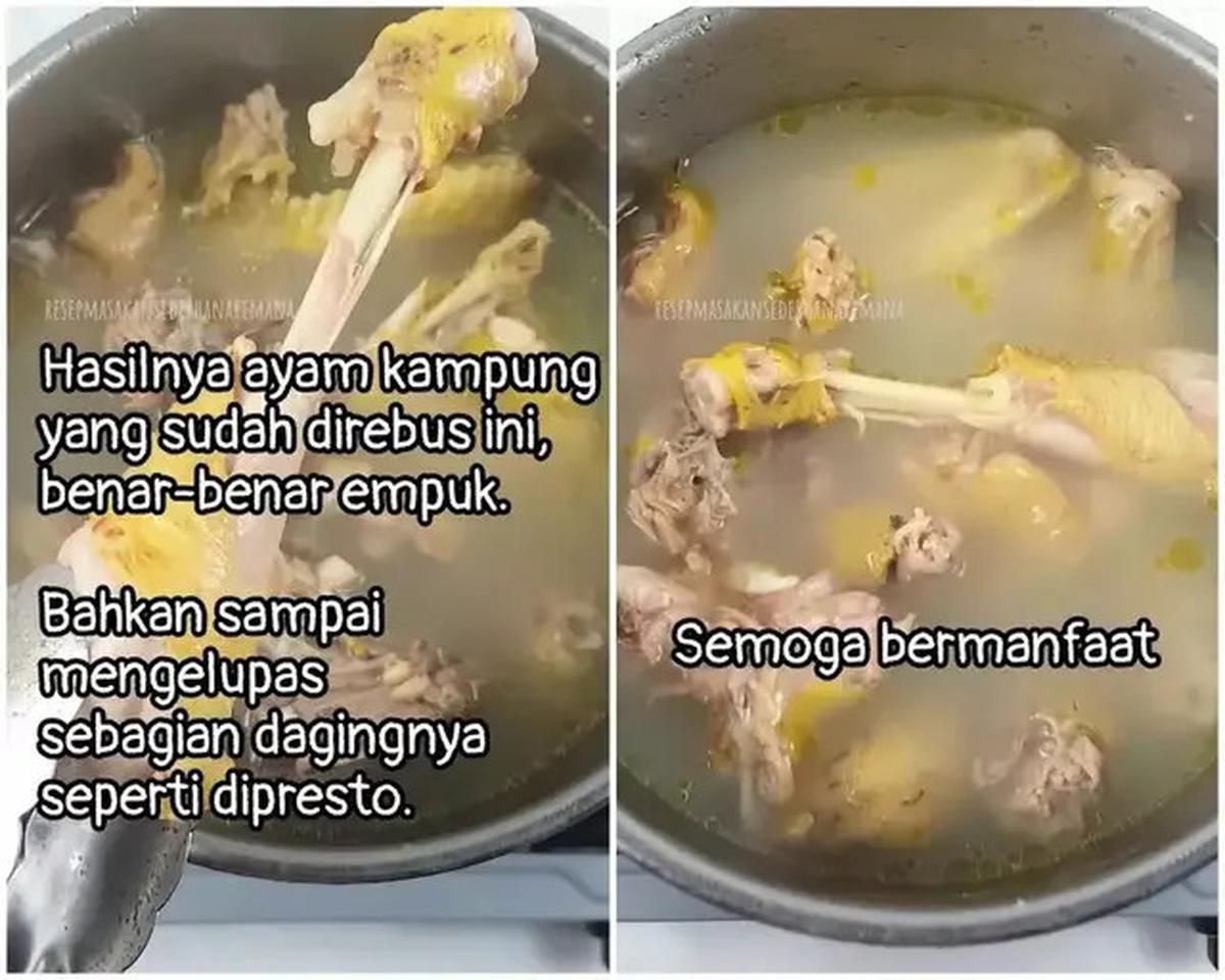 Cara Memasak Ayam Kampung Agar Empuk Tanpa Presto, Hanya 15 Menit