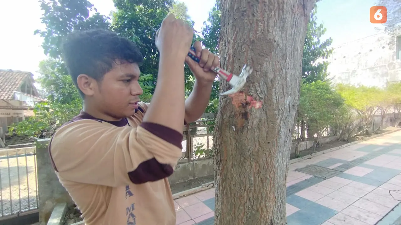 Siswa SMA Katolik Hikmah Mandala Banyuwangi peringati hari Pahlwan dengan cara mencabut paku dari pohon (Hermawan Arifianto/Liputan6.com)