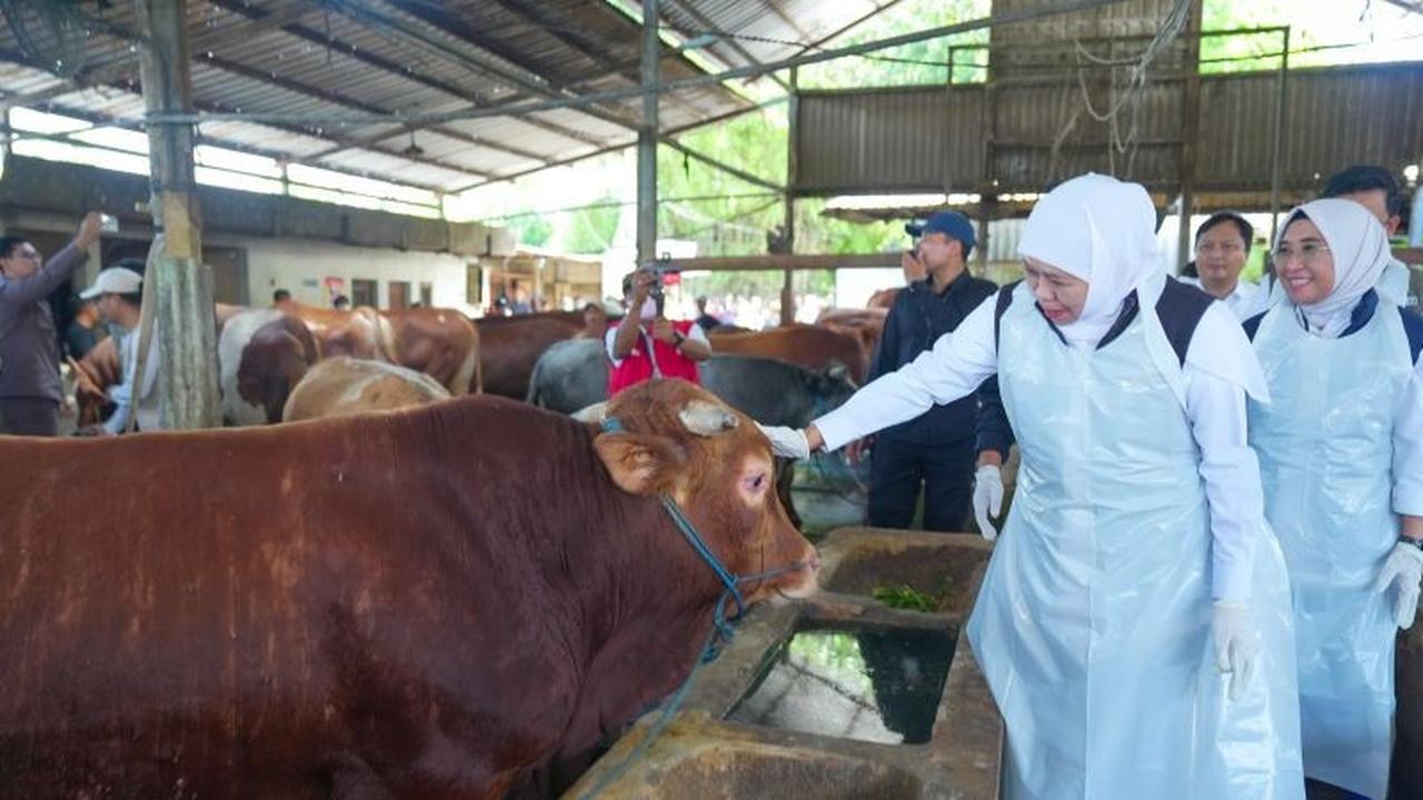 Pemprov Jatim Kerahkan Tim Pemeriksa Kesehatan Hewan Kurban Jelang Idul Adha 2026