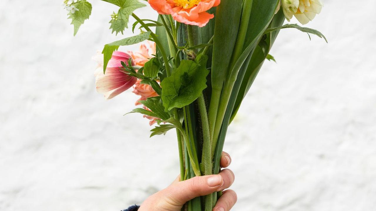 Hari Ibu adalah momen istimewa untuk mengungkapkan rasa cinta dan terima kasih kepada sosok yang penuh kasih, yaitu ibu. Salah satu cara yang paling klasik dan berkesan untuk menyampaikan perasaan tersebut adalah dengan memberikan bunga sebagai hadiah.