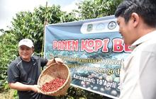 Kopi Kuningan Berpeluang Besar Tembus Pasar Global, Bupati Ungkap Kualitas Bersaing
