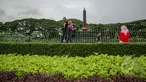Sejumlah warga malang bersantai di Alun-alun Tugu Kota Malang, Rabu (21/1/2015). (Liputan6.com/Faizal Fanani)